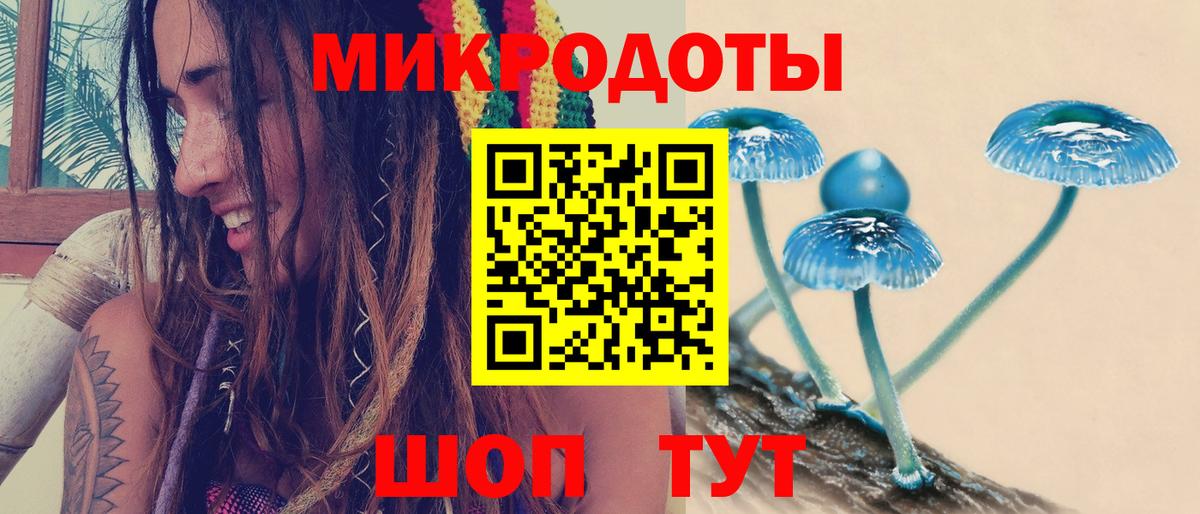 Псилоцибиновые грибы Psilocybine cubensis Советск