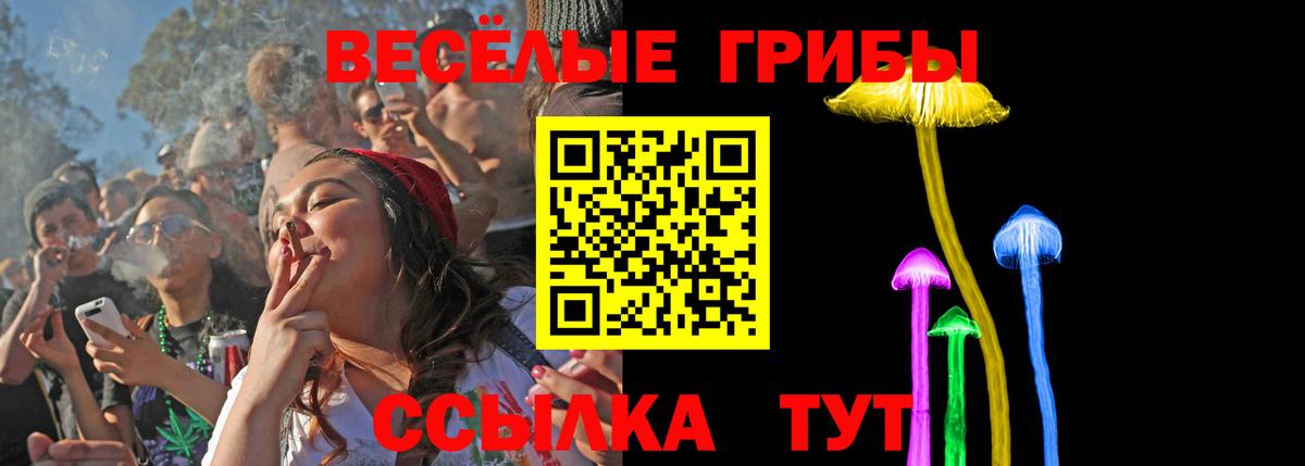 Галлюциногенные грибы MAGIC MUSHROOMS  Вход с VPN  Советск 